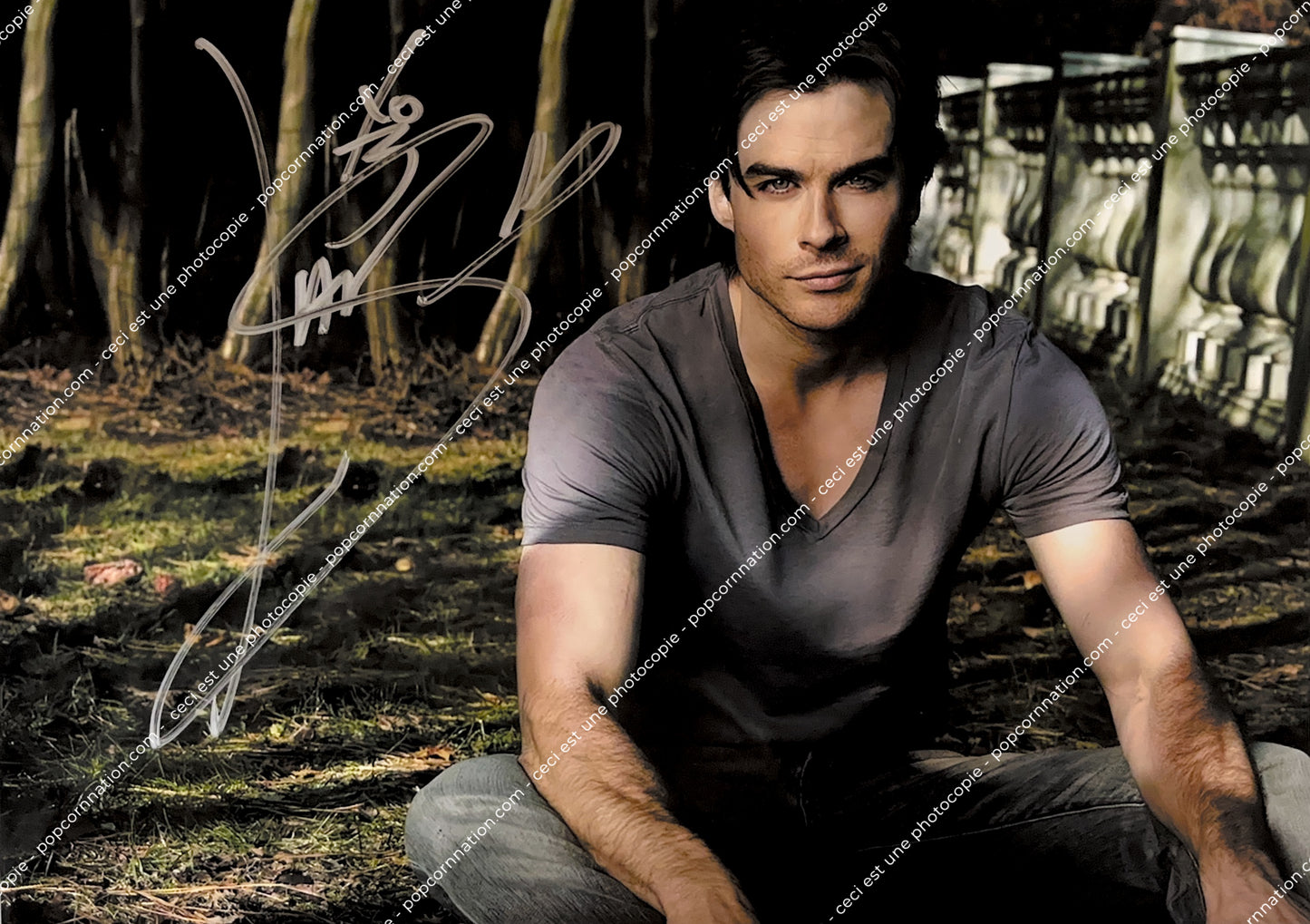 Ian Somerhalder