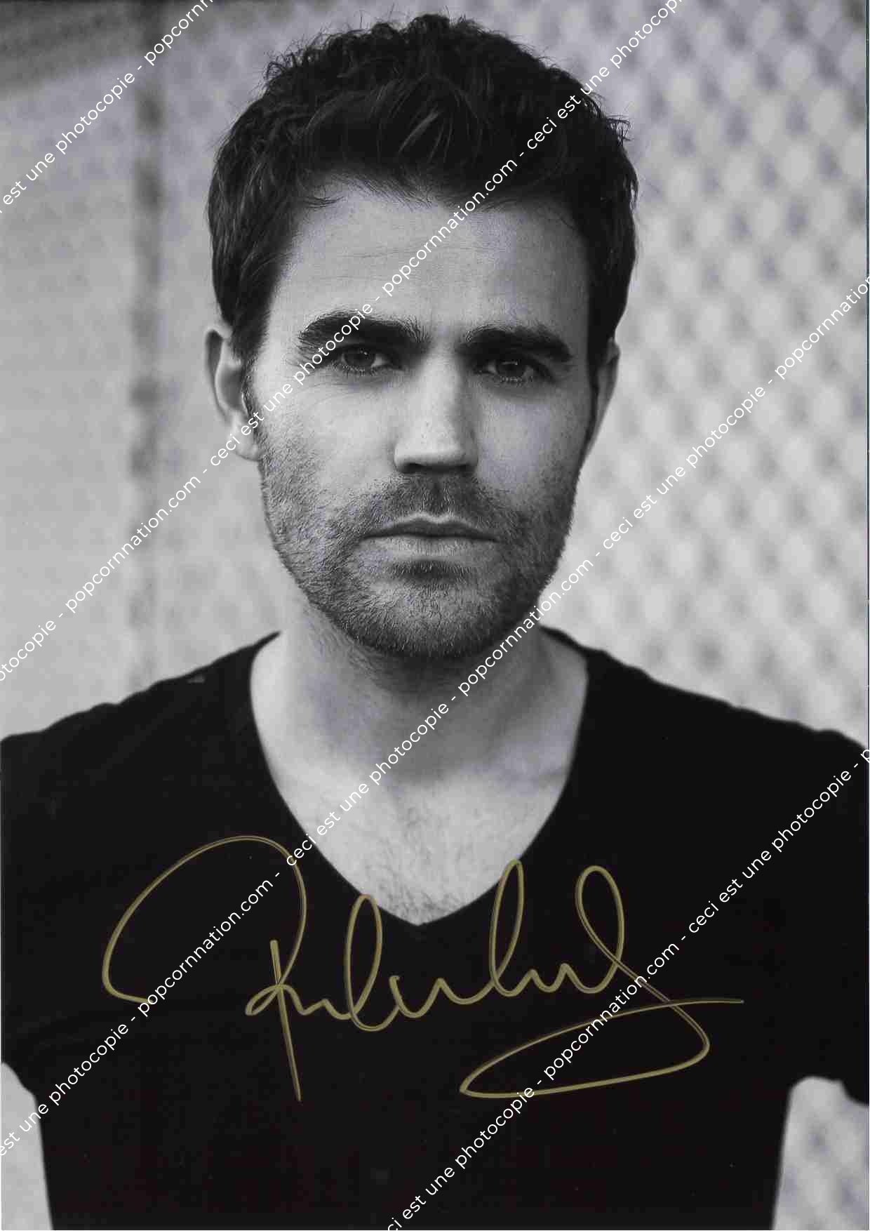 Paul Wesley