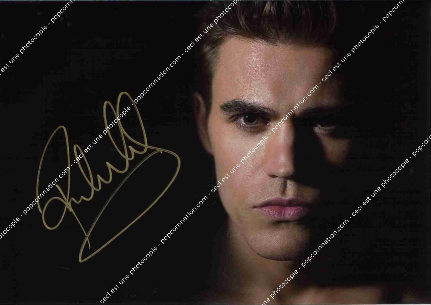 Paul Wesley