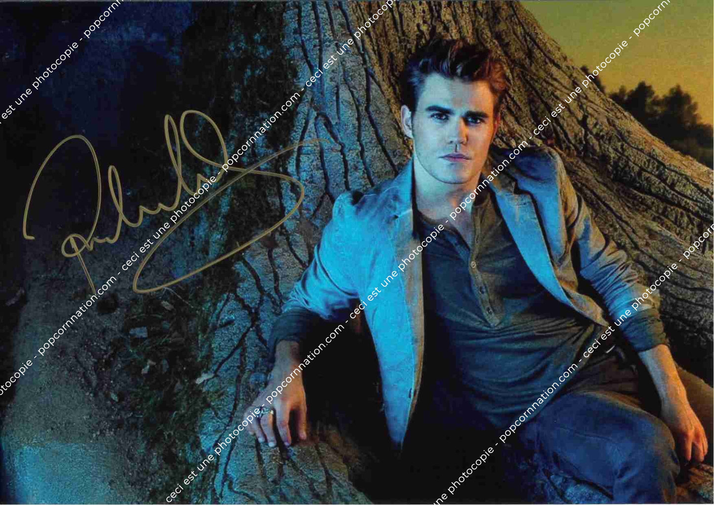 Paul Wesley