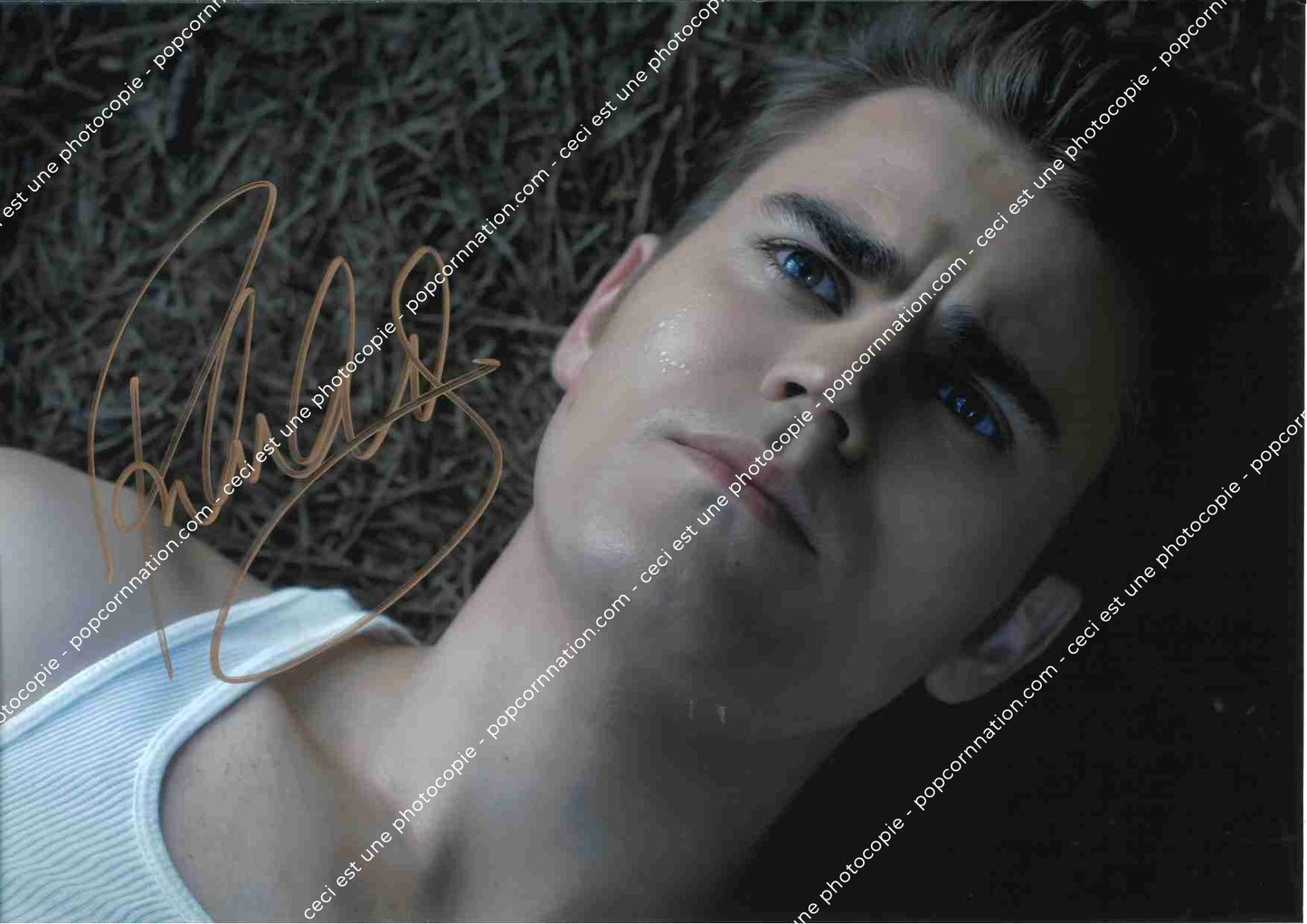Paul Wesley