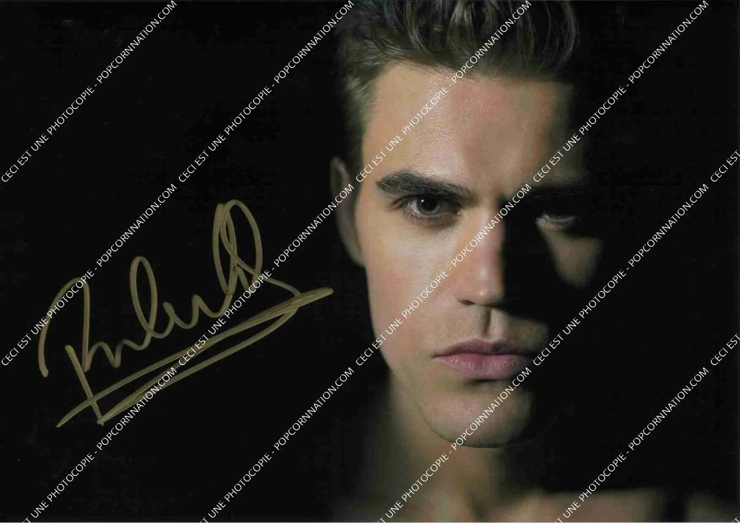 Paul Wesley