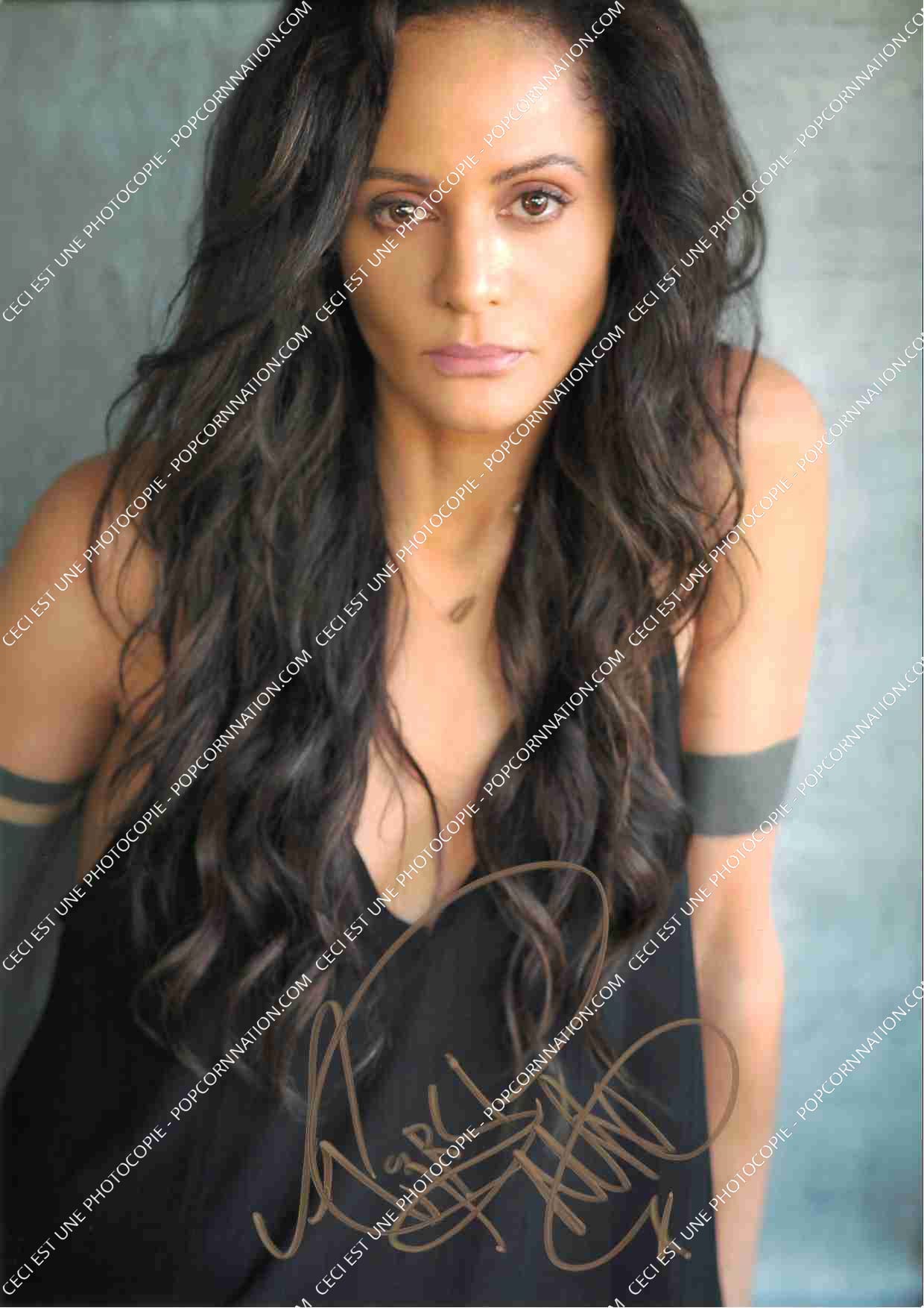 Persia White