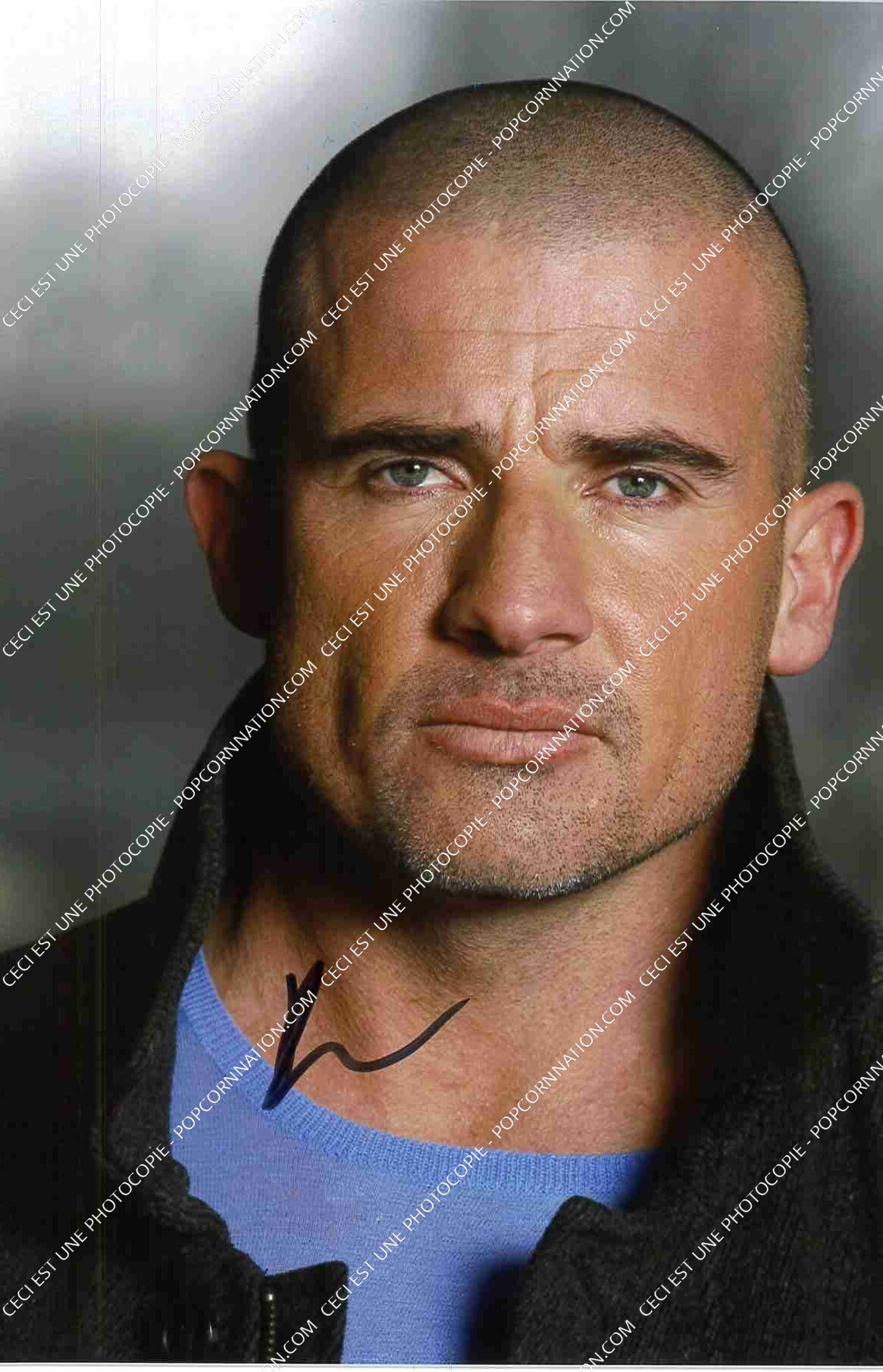 Dominic Purcell