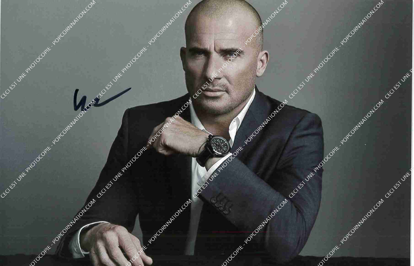 Dominic Purcell