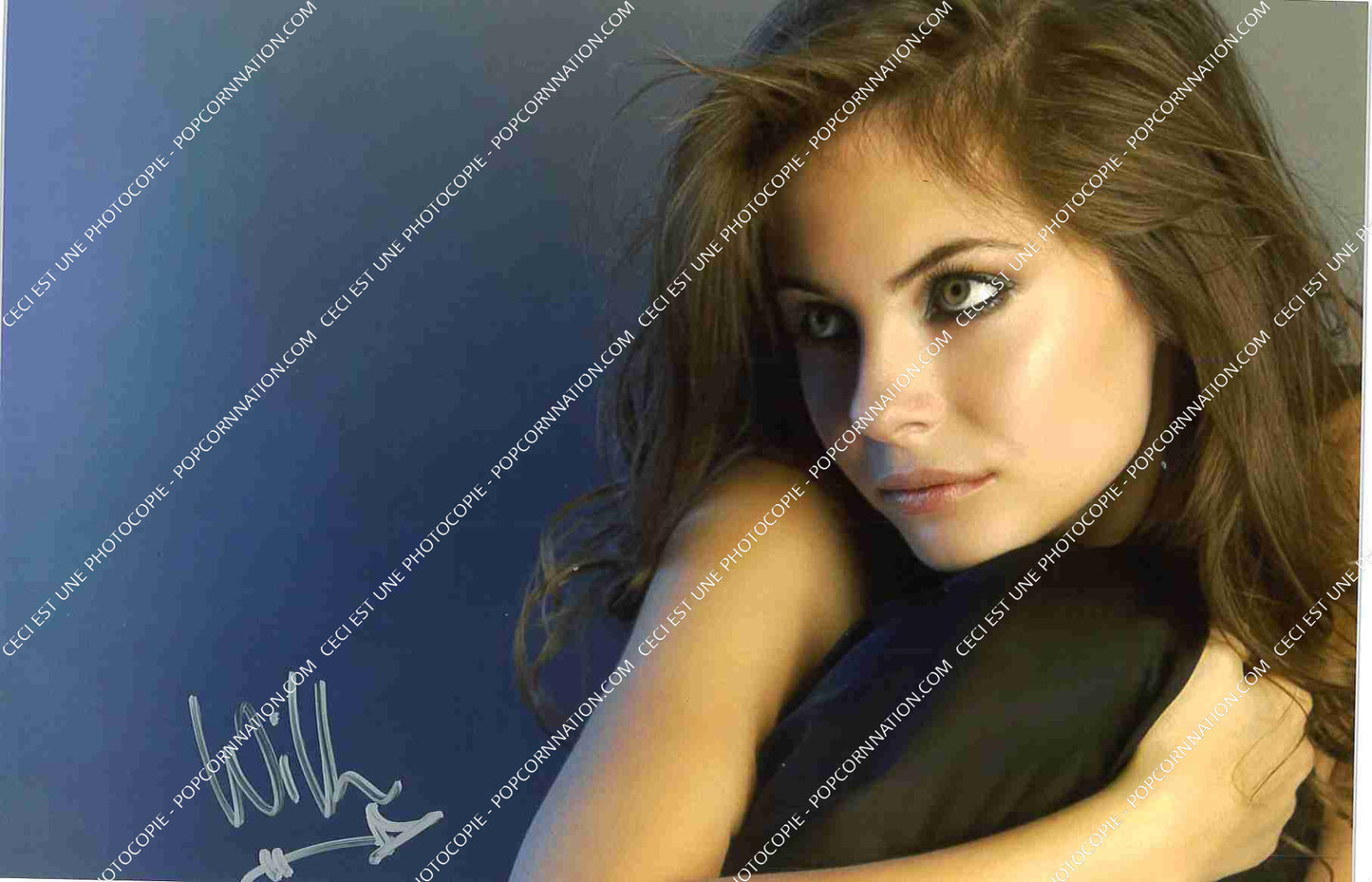 Willa Holland