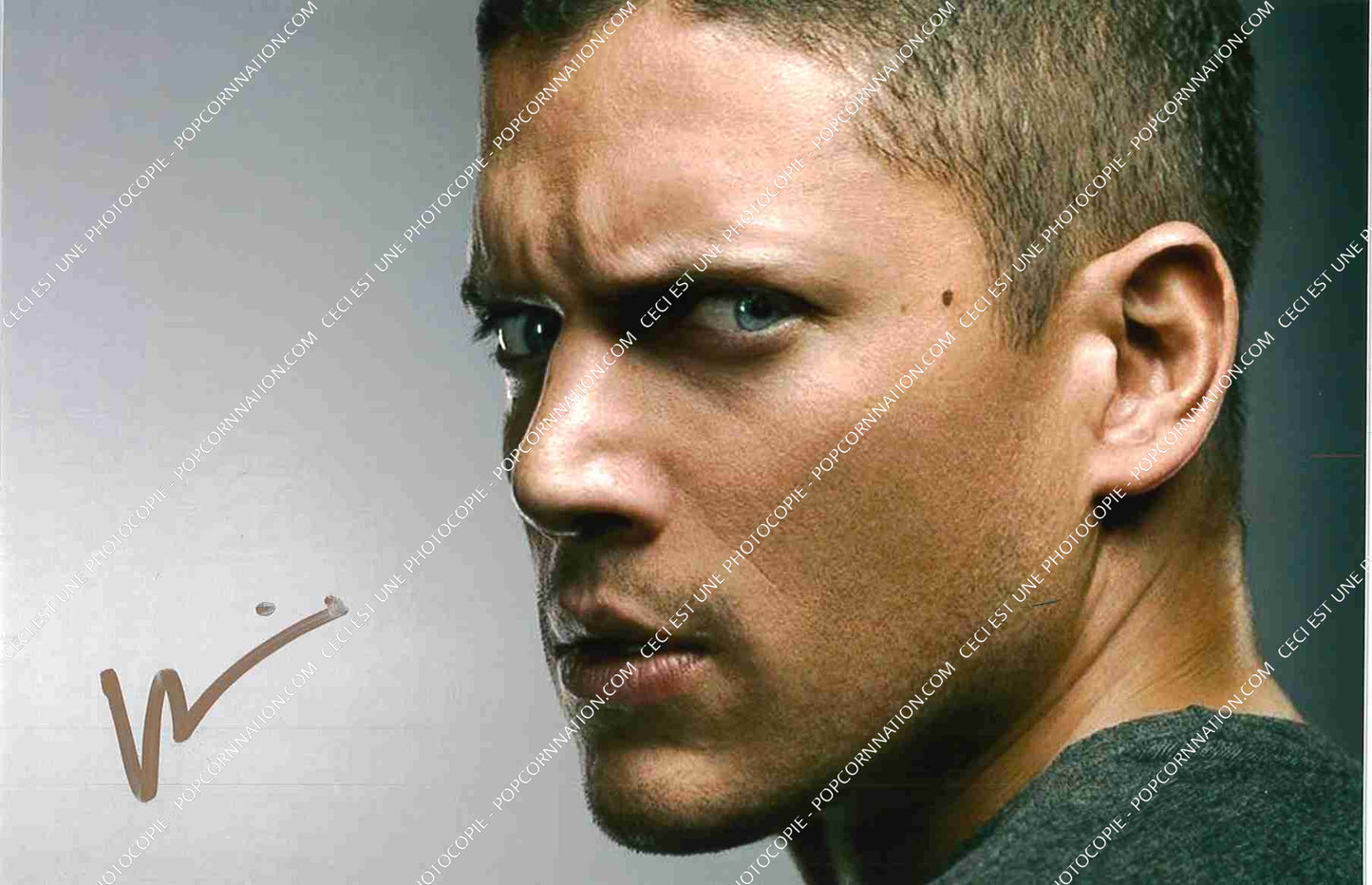 Wentworth Miller