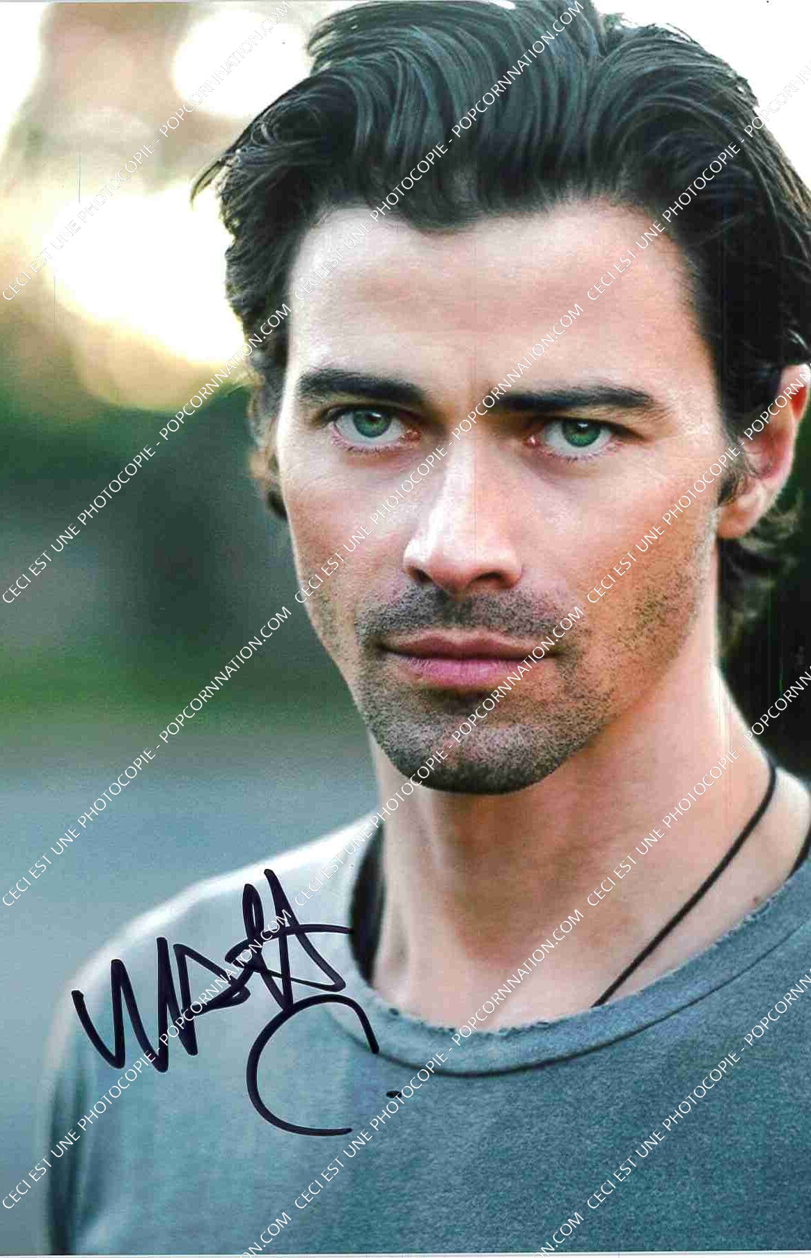 Matt Cohen