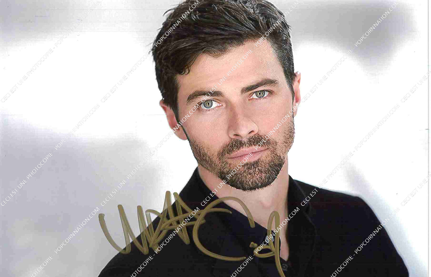 Matt Cohen