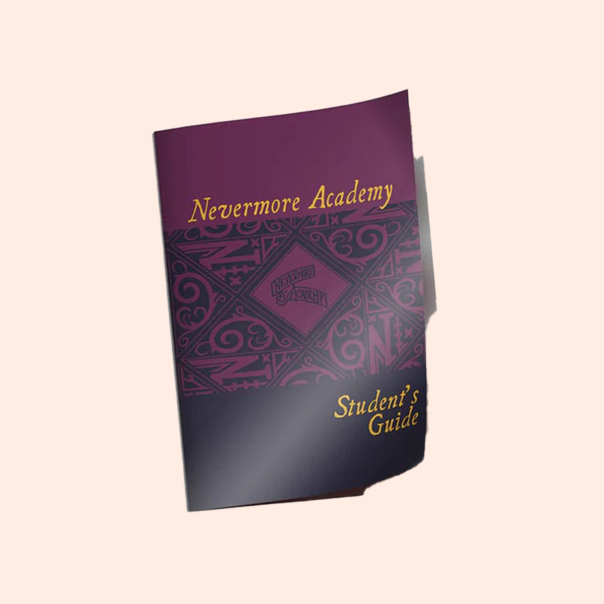Wednesday coffret cadeau Nevermore Student Guide