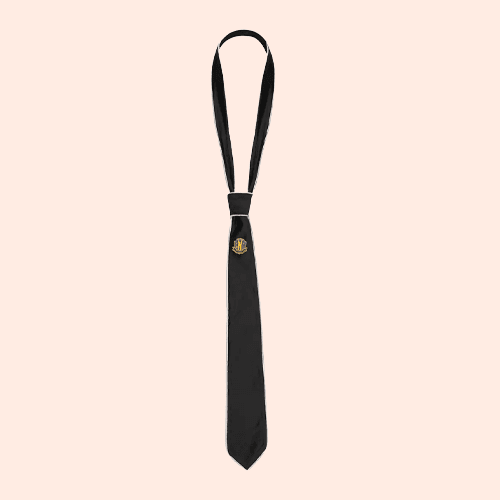 Nevermore Academy deluxe tie - Wednesday / Mercredi